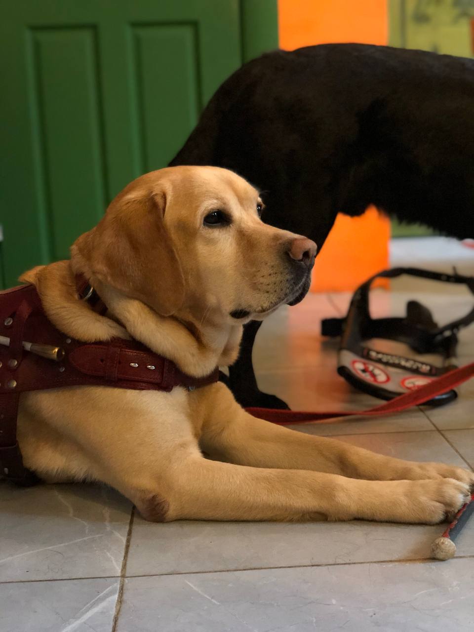 Гость кофейни 3