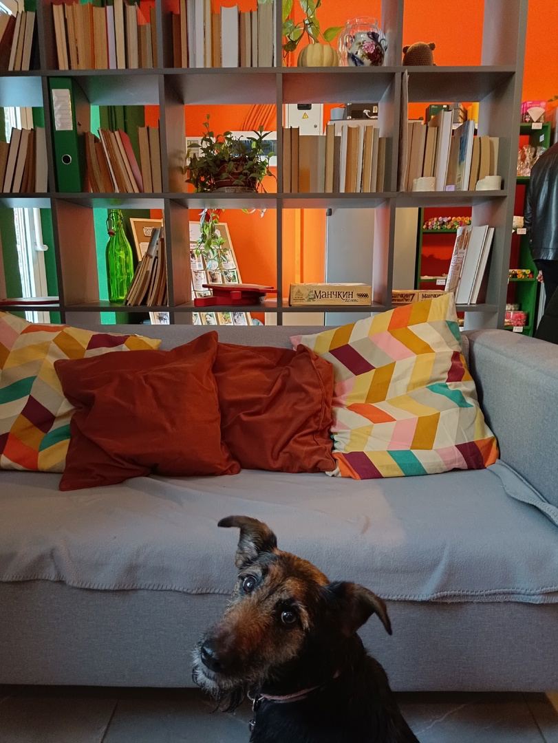 Гость кофейни 4